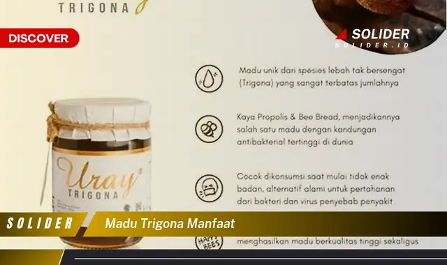 madu trigona manfaat