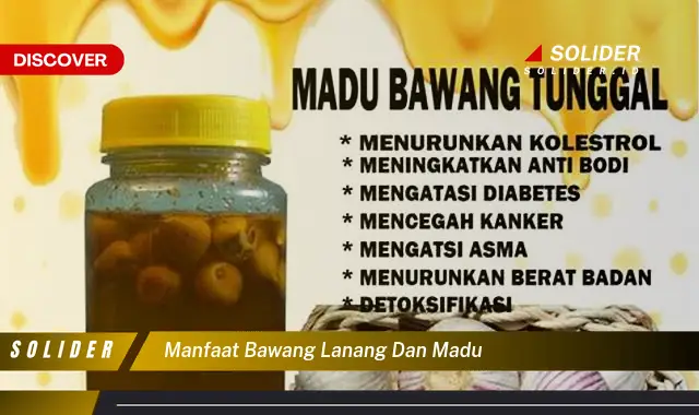 manfaat bawang lanang dan madu