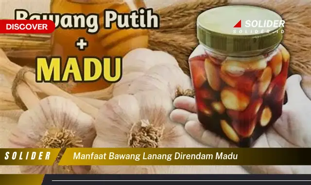 manfaat bawang lanang direndam madu