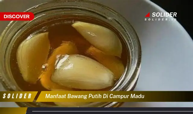 manfaat bawang putih di campur madu