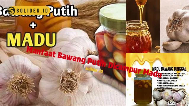 manfaat bawang putih dicampur madu