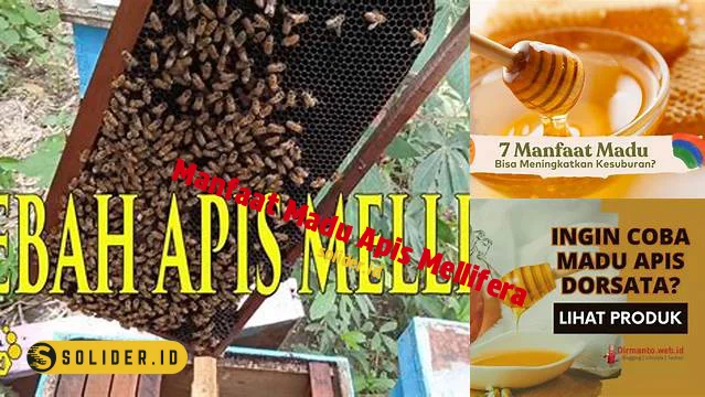 manfaat madu apis mellifera