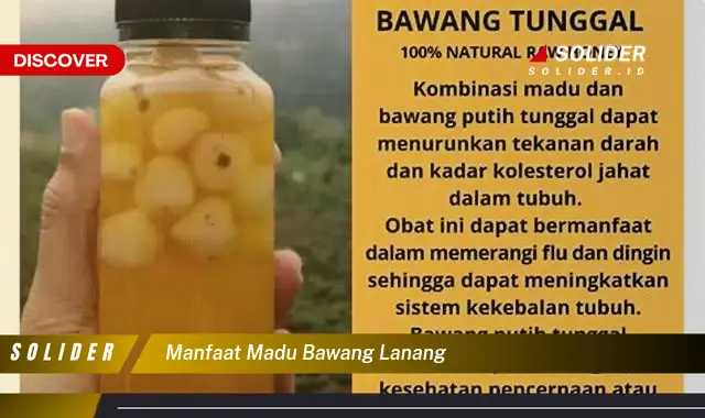 manfaat madu bawang lanang