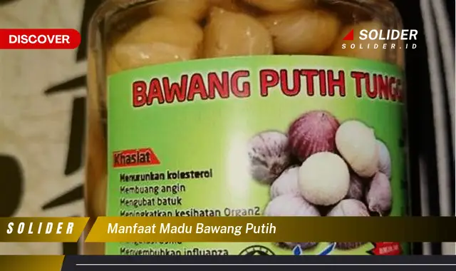 manfaat madu bawang putih