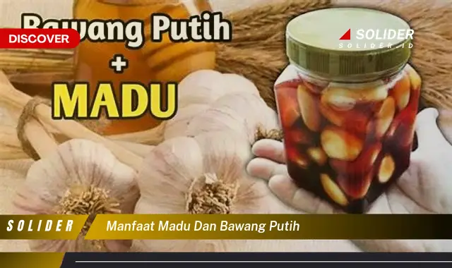 manfaat madu dan bawang putih