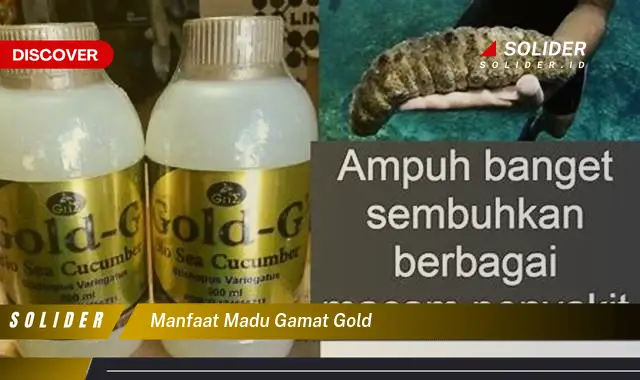 manfaat madu gamat gold