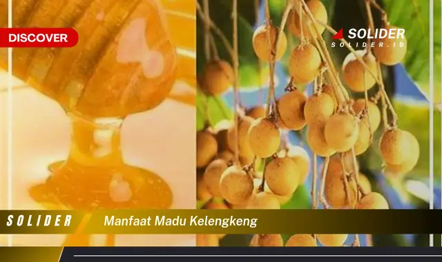 manfaat madu kelengkeng