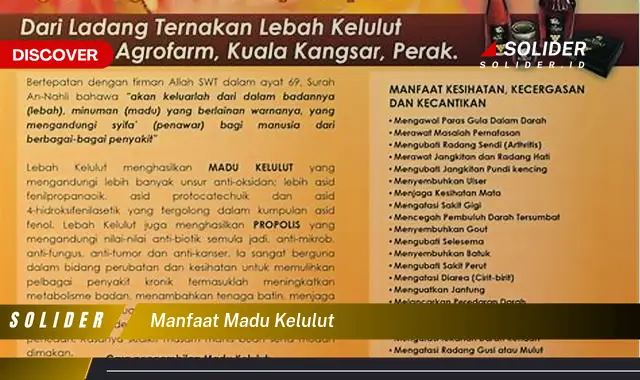 manfaat madu kelulut