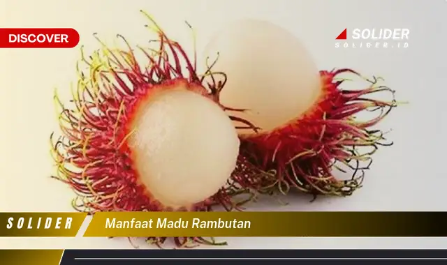 manfaat madu rambutan