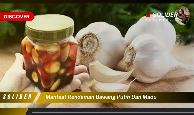 manfaat rendaman bawang putih dan madu