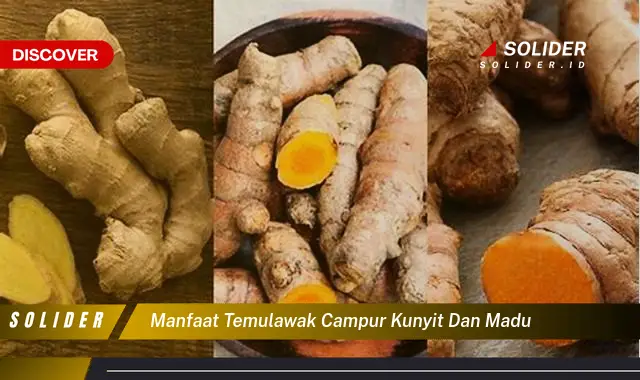 manfaat temulawak campur kunyit dan madu