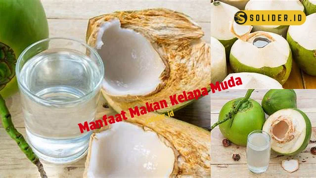 manfaat makan kelapa muda