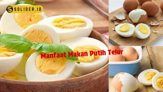 Temukan 10 Manfaat Makan Putih Telur Yang Jarang Diketahui Solider