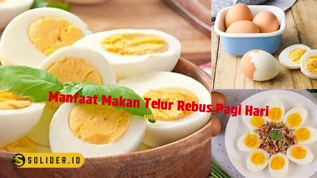 Temukan 7 Manfaat Makan Telur Rebus Pagi Hari Yang Jarang Diketahui