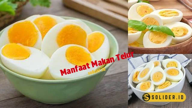 manfaat makan telur