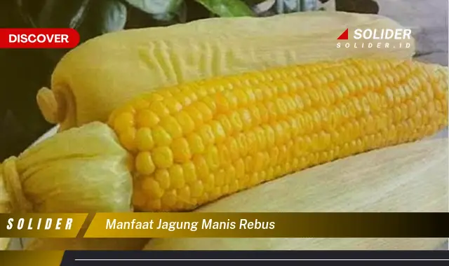 manfaat jagung manis rebus