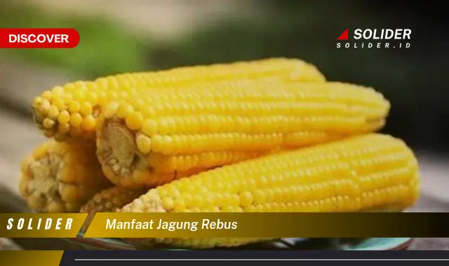 manfaat jagung rebus