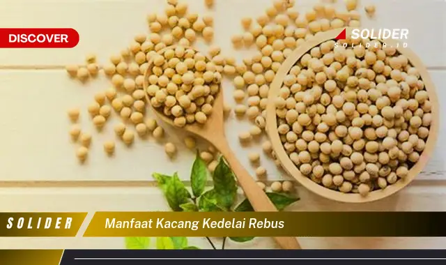 manfaat kacang kedelai rebus