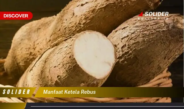 manfaat ketela rebus