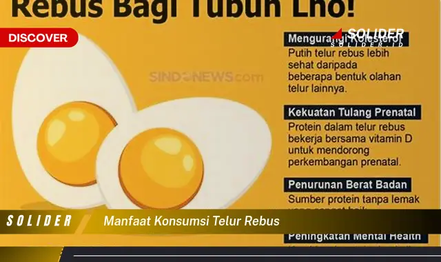 manfaat konsumsi telur rebus