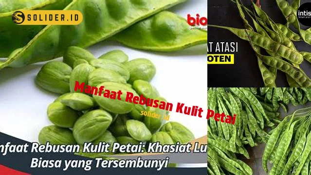 manfaat rebusan kulit petai