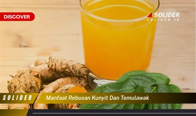 manfaat rebusan kunyit dan temulawak