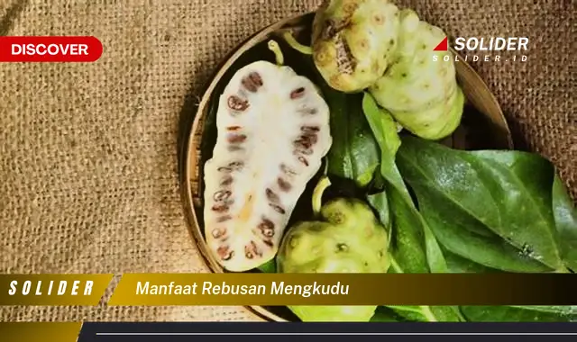 manfaat rebusan mengkudu