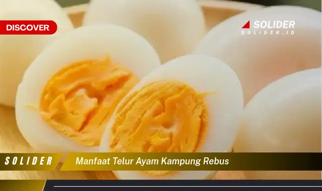 manfaat telur ayam kampung rebus