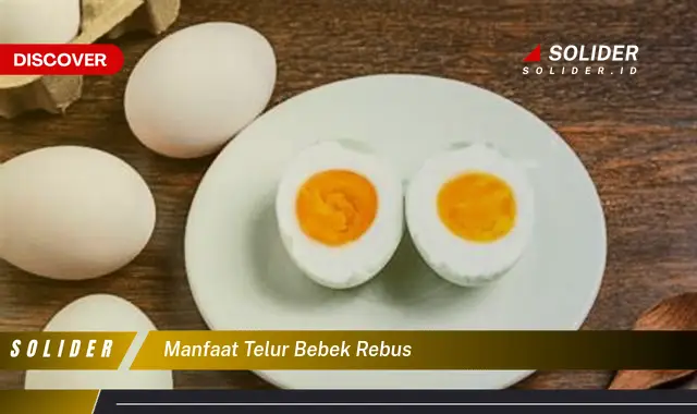 manfaat telur bebek rebus