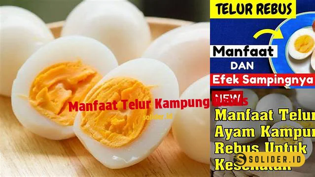 Temukan Manfaat Telur Kampung Rebus Yang Jarang Diketahui Solider