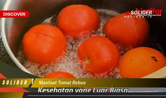 Temukan Manfaat Tomat Rebus Yang Jarang Diketahui Solider