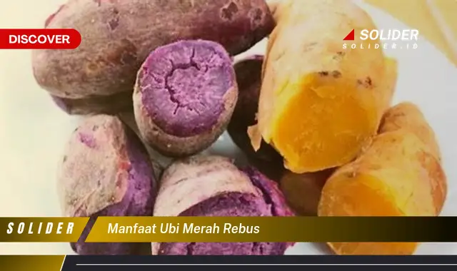 manfaat ubi merah rebus