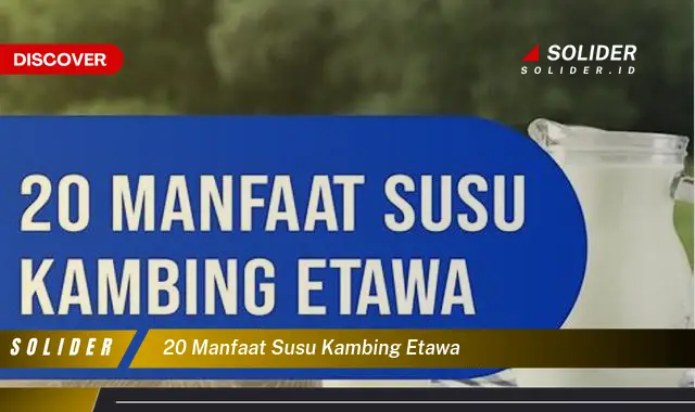 20 manfaat susu kambing etawa