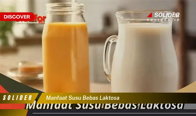 manfaat susu bebas laktosa