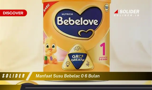 manfaat susu bebelac 0 6 bulan