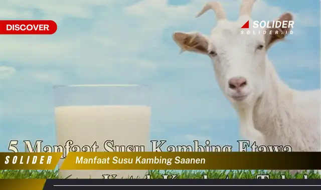 manfaat susu kambing saanen