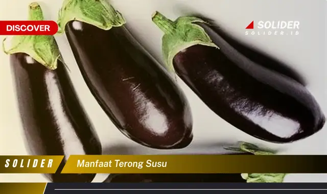 manfaat terong susu