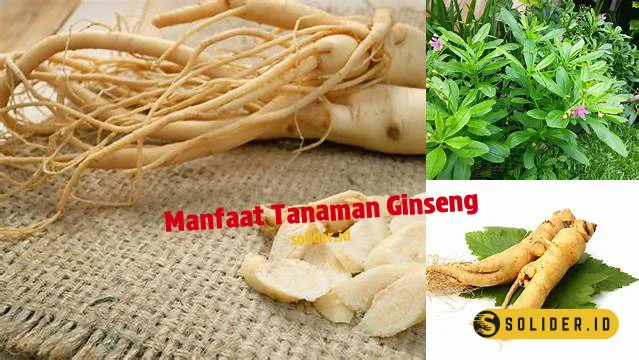 manfaat tanaman ginseng