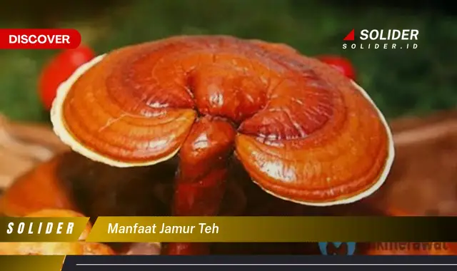 manfaat jamur teh