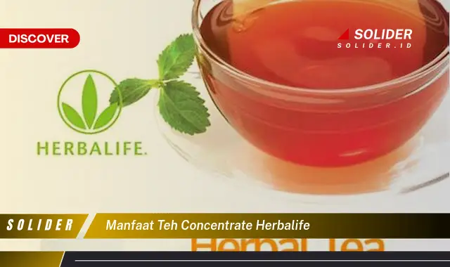 manfaat teh concentrate herbalife