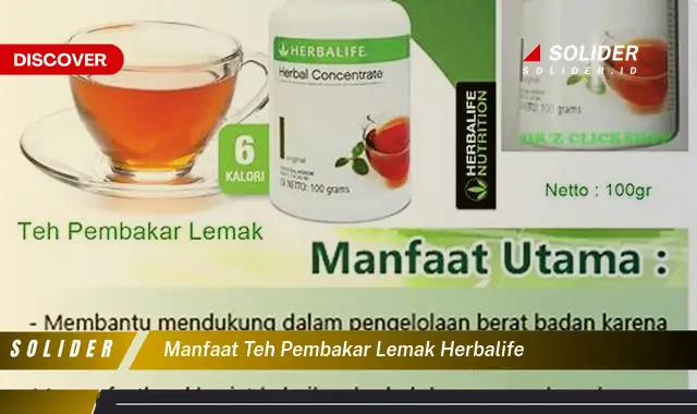 manfaat teh pembakar lemak herbalife