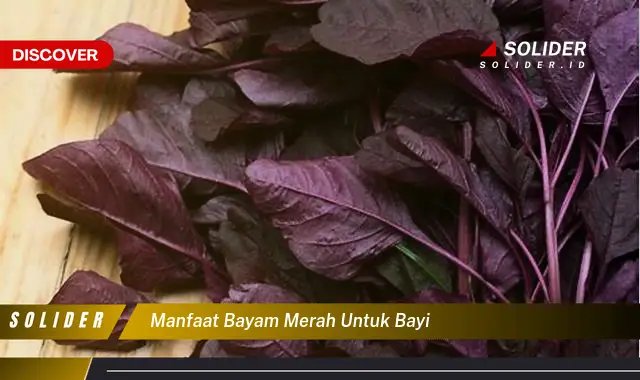 manfaat bayam merah untuk bayi