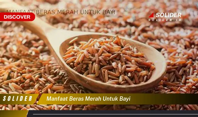 manfaat beras merah untuk bayi