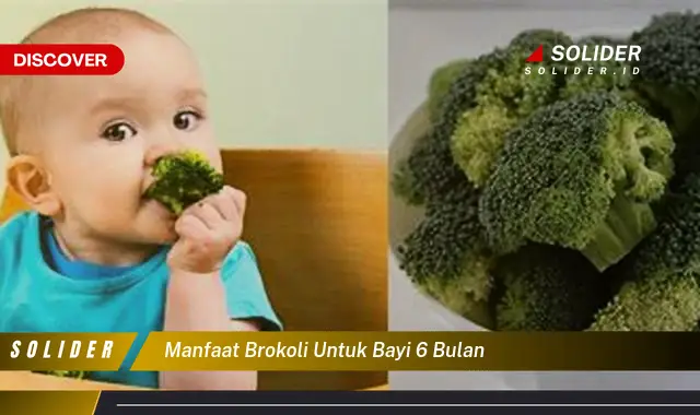 manfaat brokoli untuk bayi 6 bulan