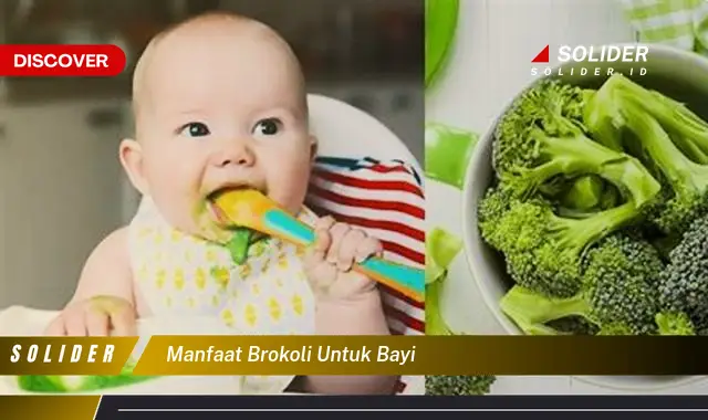 manfaat brokoli untuk bayi