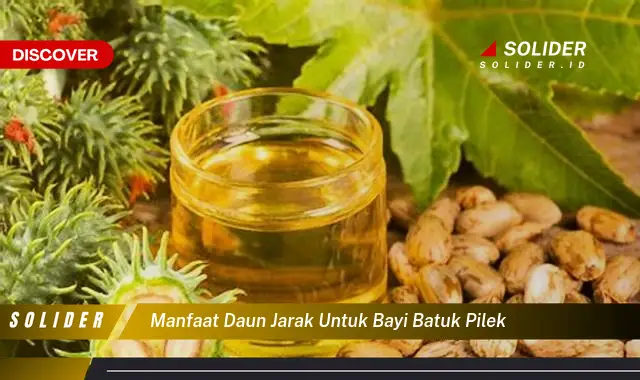 manfaat daun jarak untuk bayi batuk pilek