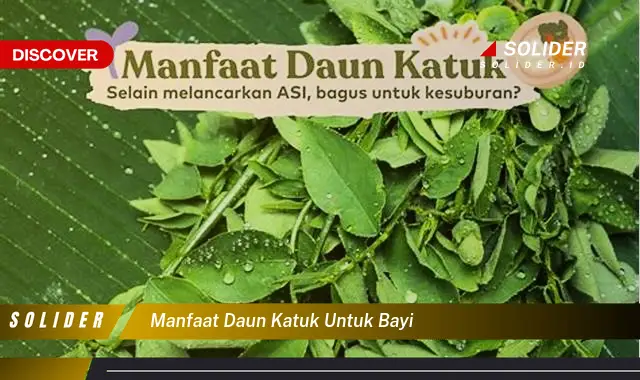 manfaat daun katuk untuk bayi