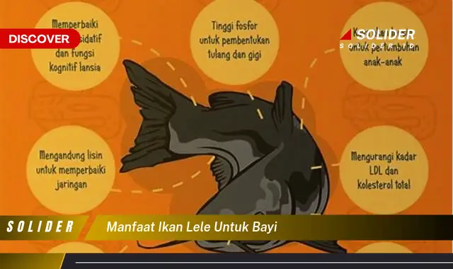 manfaat ikan lele untuk bayi