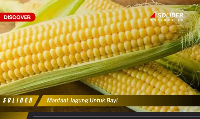 manfaat jagung untuk bayi