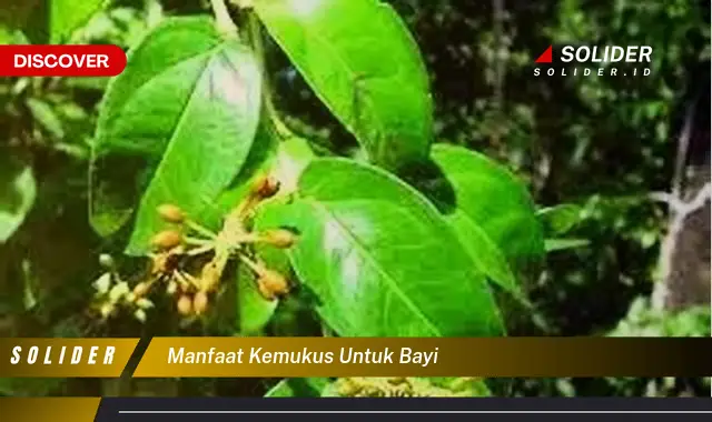 manfaat kemukus untuk bayi